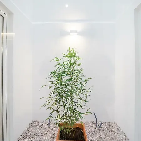 Lemon Tree Garden 3bedroom 리스본